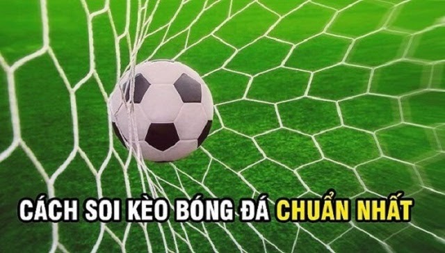 chia-se-kinh-nghiem-soi-keo-bong-da-cuc-hieu-qua-tu-cac-chuyen-gia